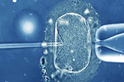 Περιγραφή: Νέα μέθοδος για περισσότερη επιτυχία στην εξωσωματική γονιμοποίηση