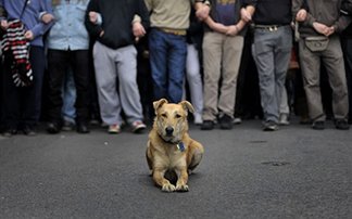 Περιγραφ: http://img.protothema.gr/32C4B0A63299EAC2B5C6BB608E2CEB1D.jpg