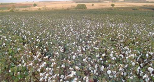 Αγρτες - παραγωγο παιρναν παρνομα επιδοτσεις σε Αιτωλ/να - Κιλκς